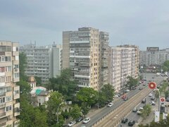 Mihai Bravu, Dristor